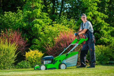 Lawn mower online professional